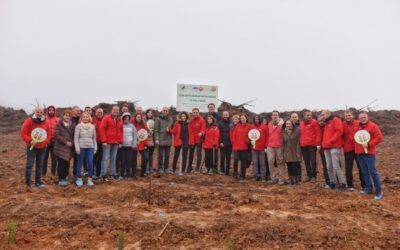 Aras Kargo 16 Bin Fidana Hayat Verdi
